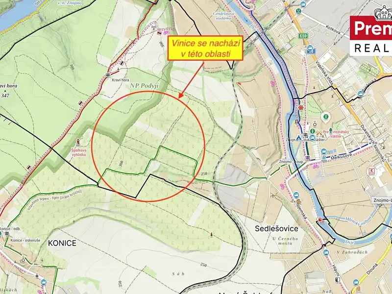 Prodej sadu, vinice 86440 m², Nový Šaldorf-Sedlešovice – náhled fotky 3