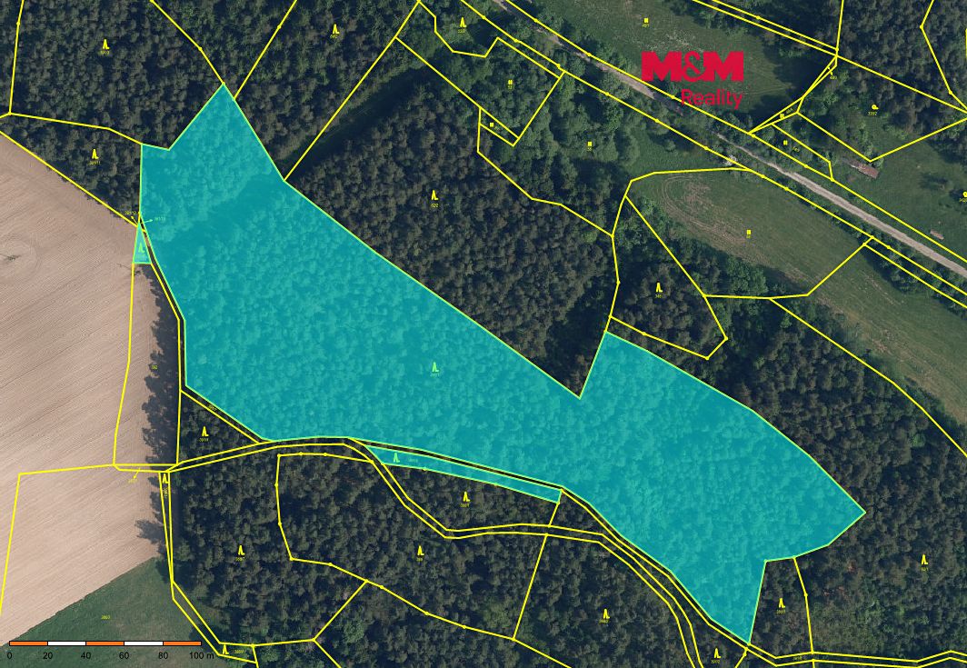 Prodej lesa 35696 m², Bílá – fotka 1 z 3