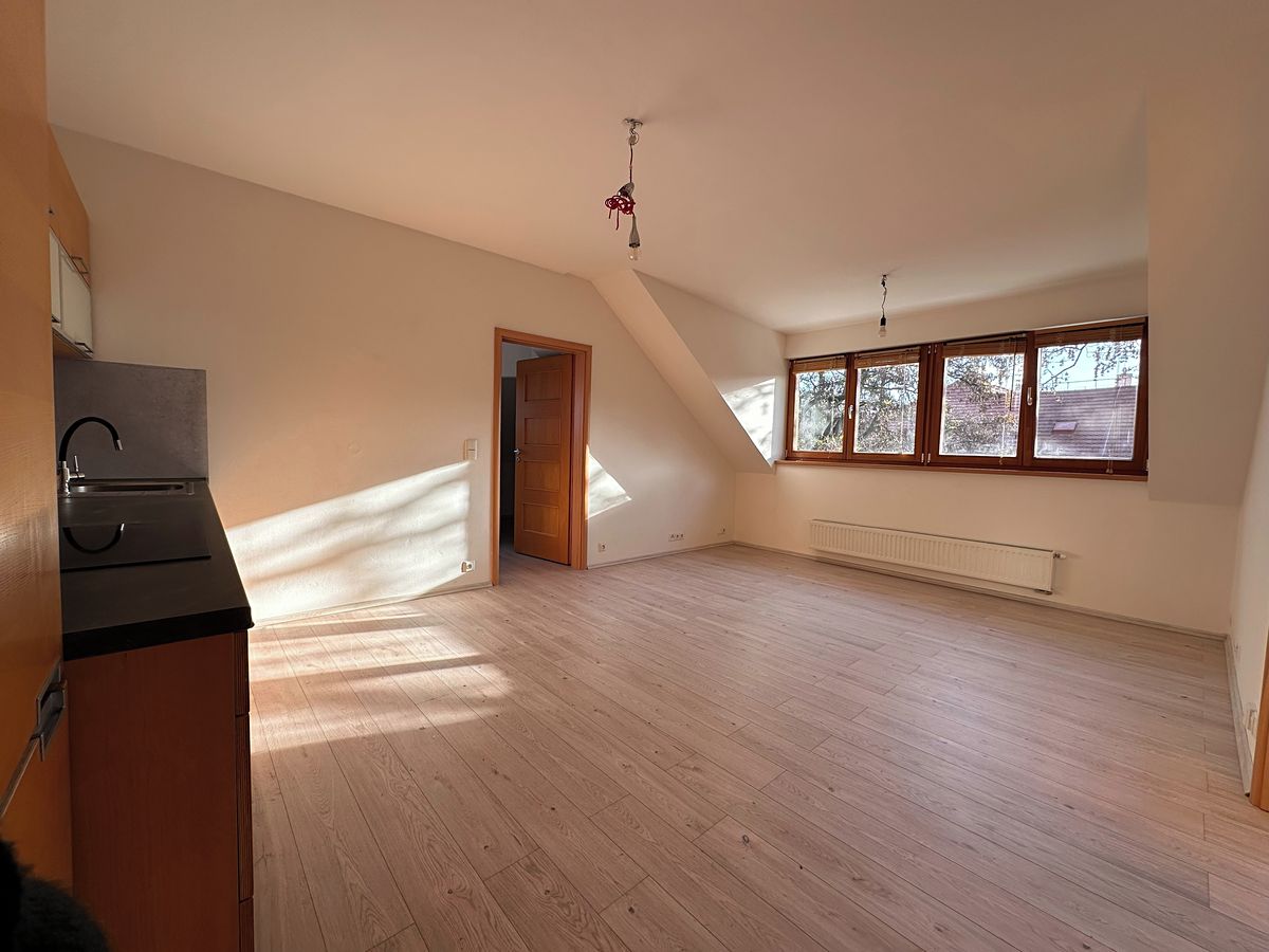 Pronájem bytu 3+kk 64 m² – fotografie 4