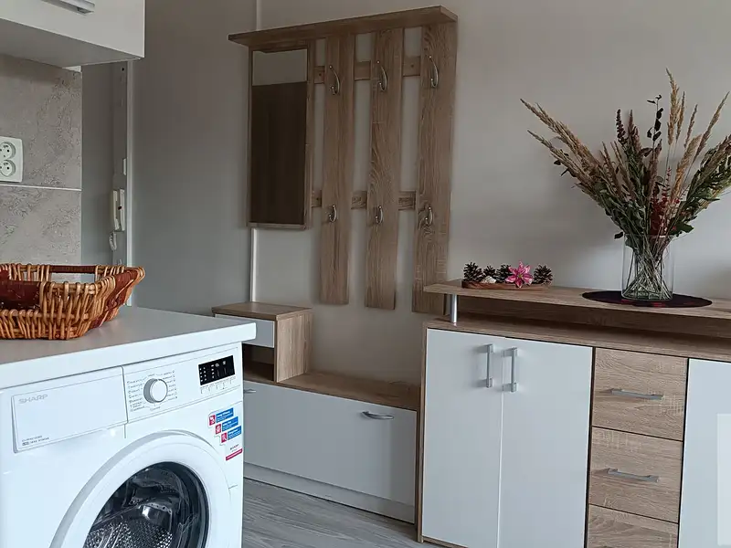 Prodej bytu 1+1 36 m², Ústí nad Labem – náhled fotky 3