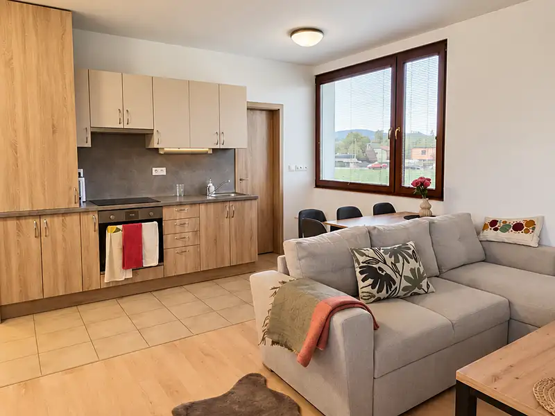 Pronájem bytu 2+kk 55 m², Frýdek-Místek – náhled fotky 2