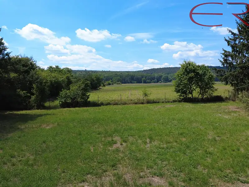 Prodej zahrady 2335 m², Horní Počaply – náhled fotky 3