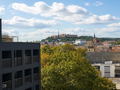 Pronájem bytu 1+kk, 38 m² (2 z 14)