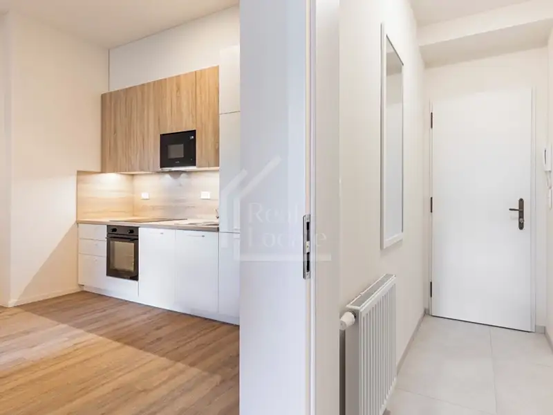 Pronájem bytu 1+kk 37 m², Praha – náhled fotky 3