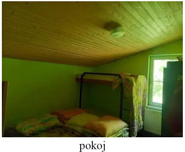 Dražba chalupy 550 m², pozemek 9428 m², Jindřichov – náhled fotky 3