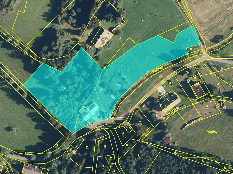 Dražba chalupy 550 m², pozemek 9428 m², Jindřichov – náhled fotky 2