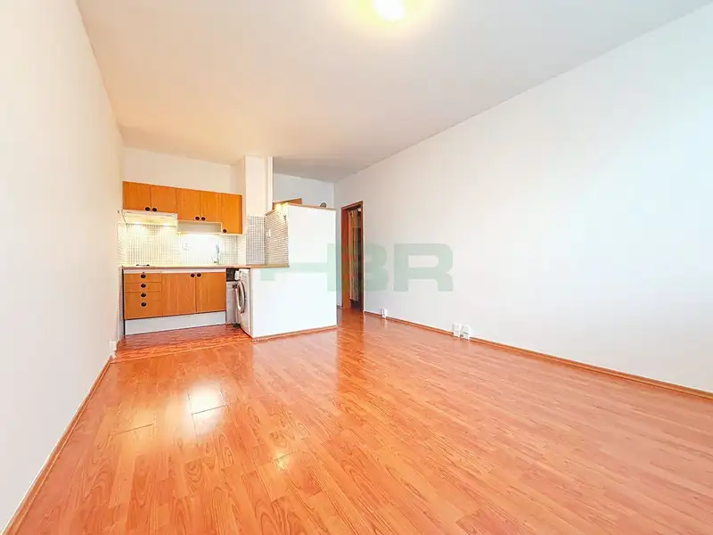 Pronájem bytu 1+kk 29 m², Praha – náhled fotky 3