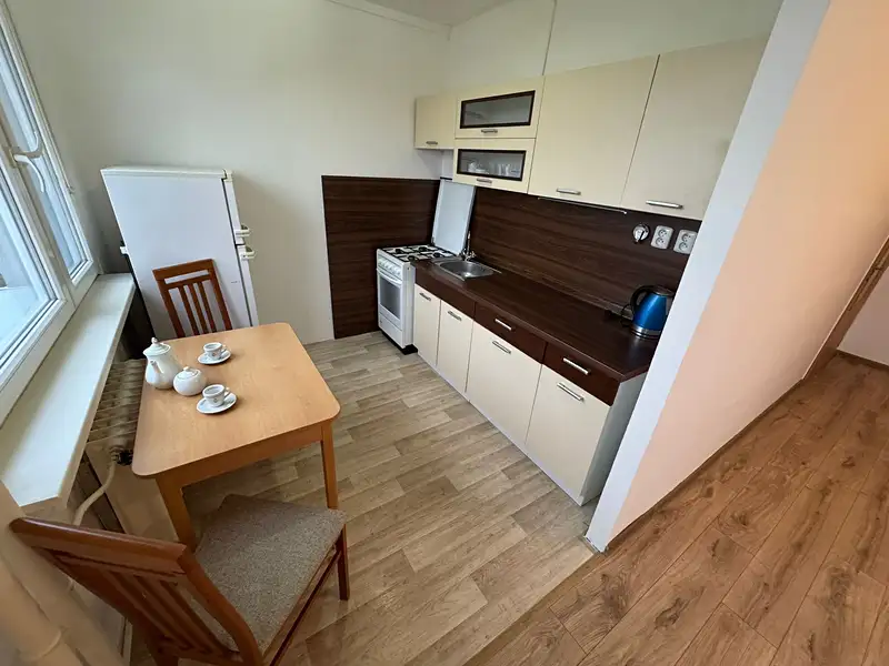 Pronájem bytu 1+kk 35 m², Javorová, Most