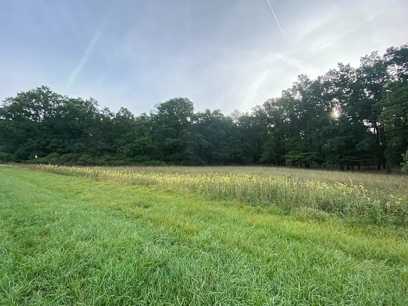 Prodej louky 2972 m², Ostřetín – náhled fotky 1