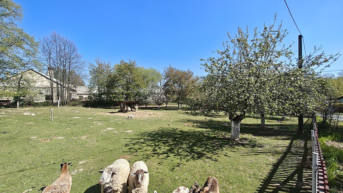 Prodej stavebního pozemku 4421 m², Bartošovice – fotka 1 z 3