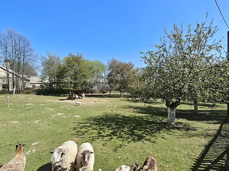Prodej stavebního pozemku 4421 m², Bartošovice – náhled fotky 1