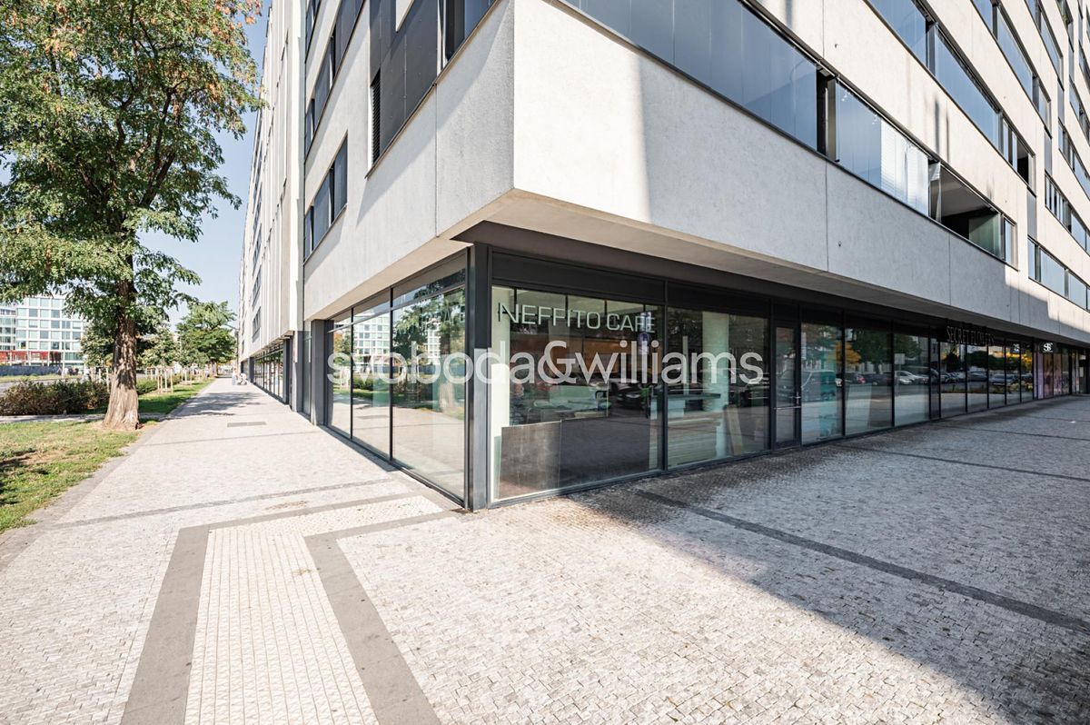Prodej obchodního prostoru 173 m²