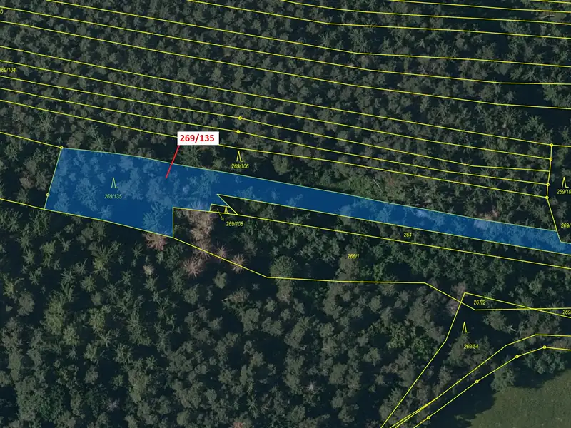 Dražba lesa 2783 m², Břežany – náhled fotky 2
