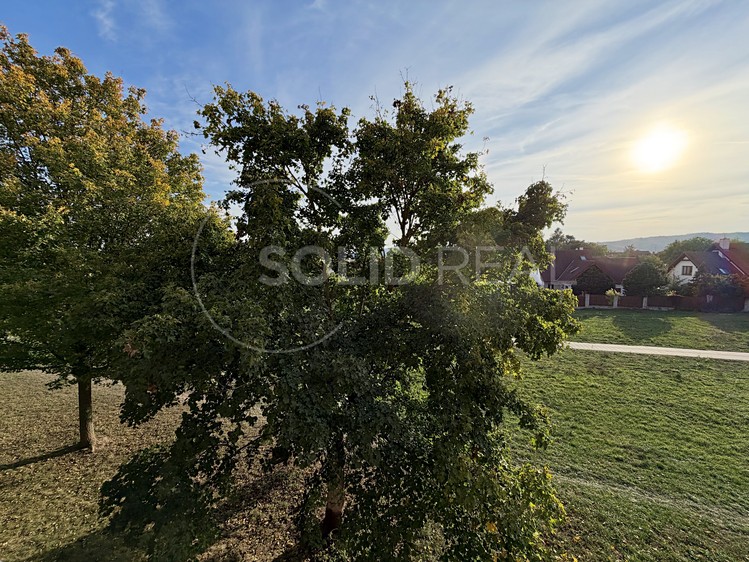 Ostatní