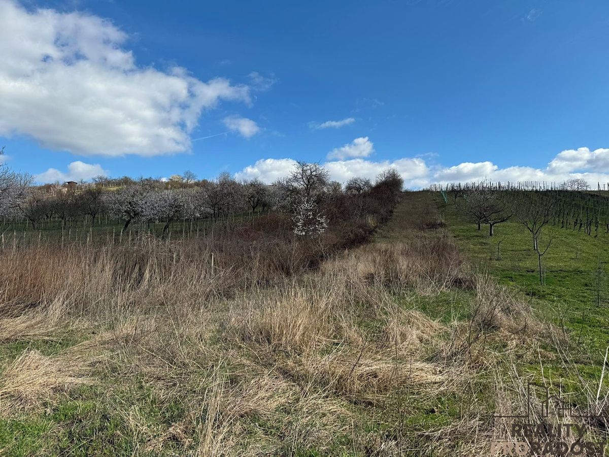 Prodej sadu, vinice 1540 m², Mutěnice – fotka 1 z 3