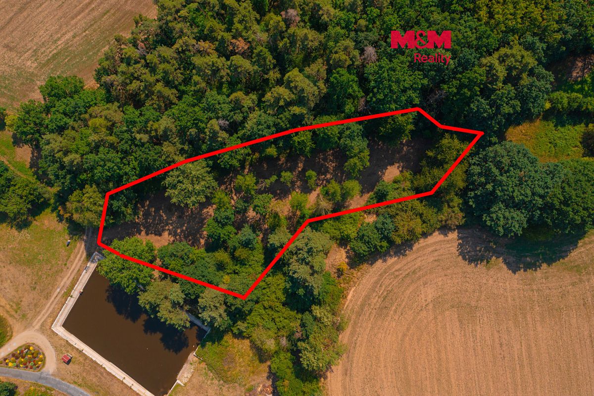 Prodej zahrady 2248 m², Velký Bor – fotka 1 z 3