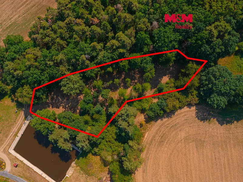 Prodej zahrady 2248 m², Velký Bor – náhled fotky 1