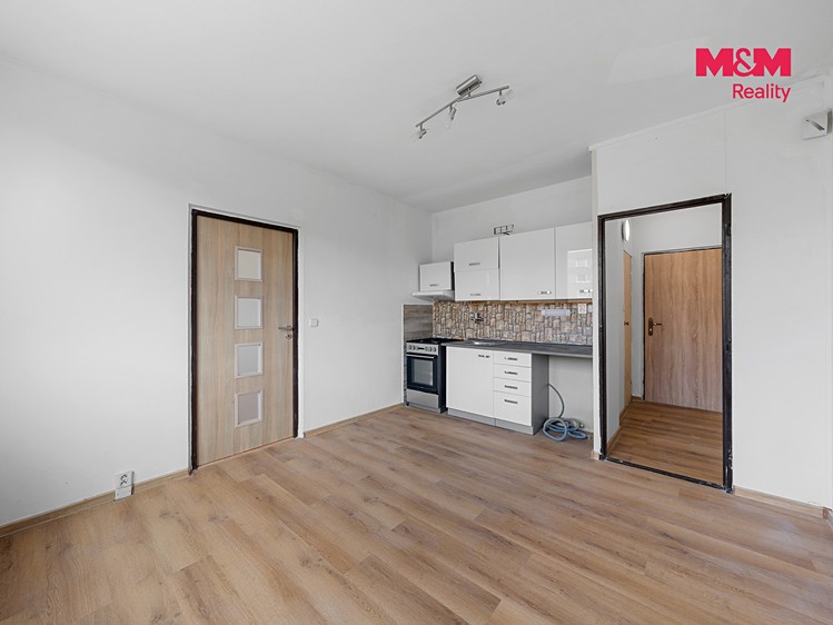 Квартира 1+1 в оренду, 33 м² (2 з 13)