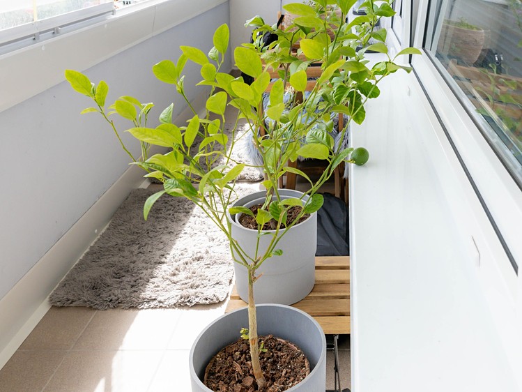 Prodej bytu 4+kk, 81 m² (13 z 18)