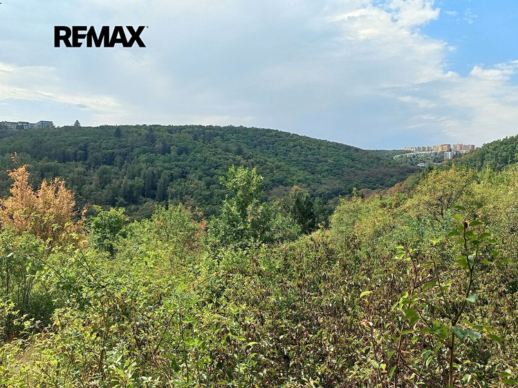 Prodej pozemku, 1 744 m² (9 z 15)
