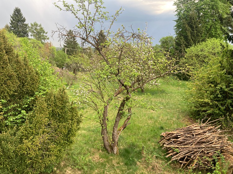 Prodej pozemku, 962 m² (13 z 27)