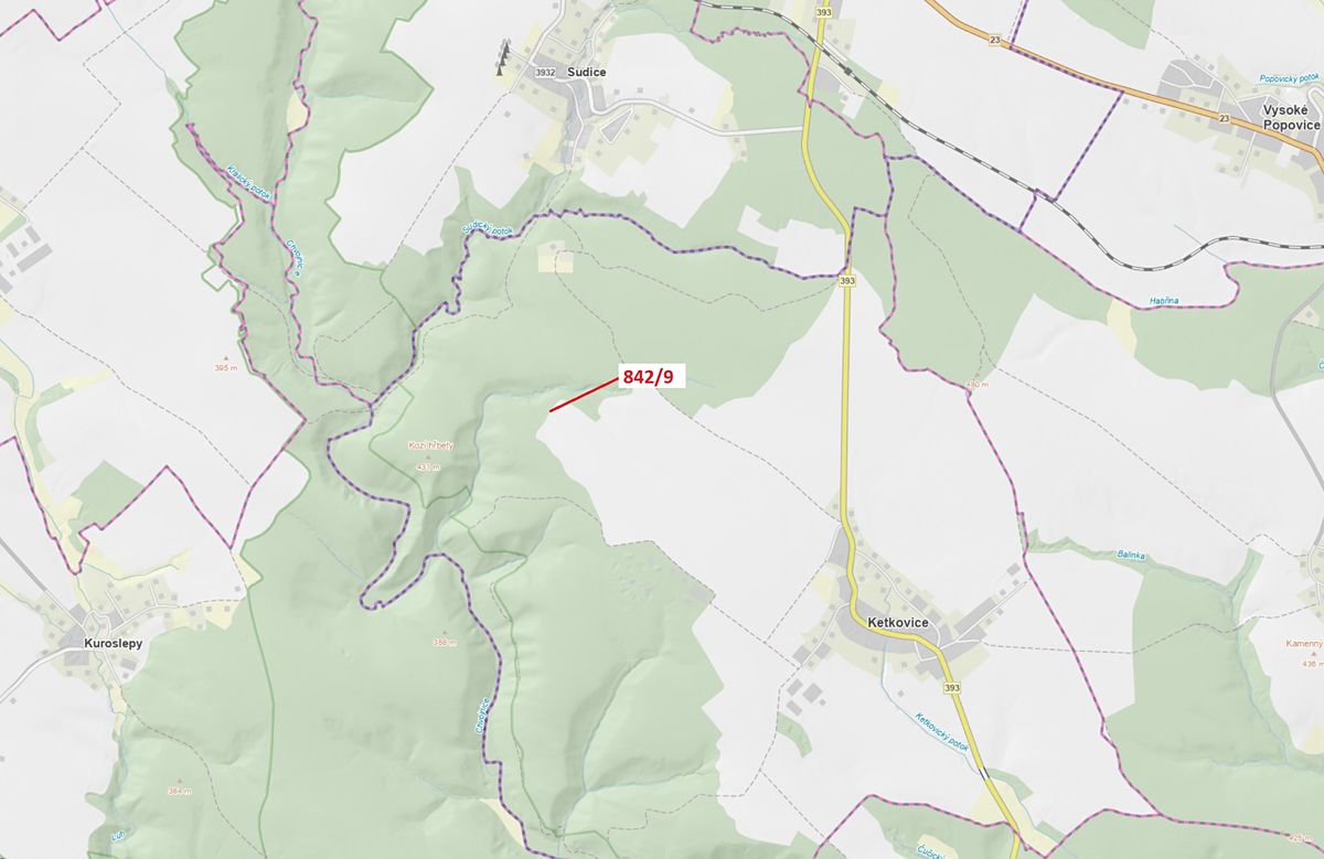 Dražba lesa 67 m², Ketkovice – fotka 1 z 3