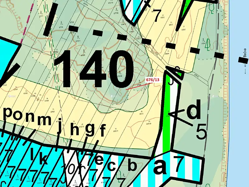 Dražba lesa 1000 m², Přerov – náhled fotky 3