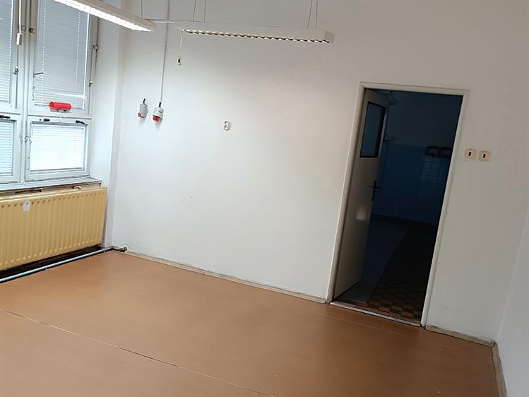 Pronájem komerčního prostoru, 768 m² (11 z 30)