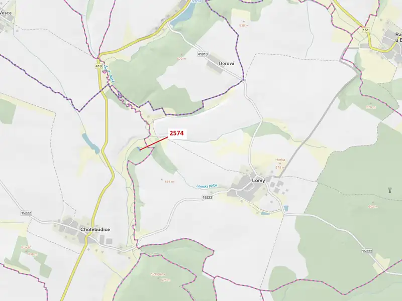 Dražba lesa 782 m², Chotěbudice – náhled fotky 1