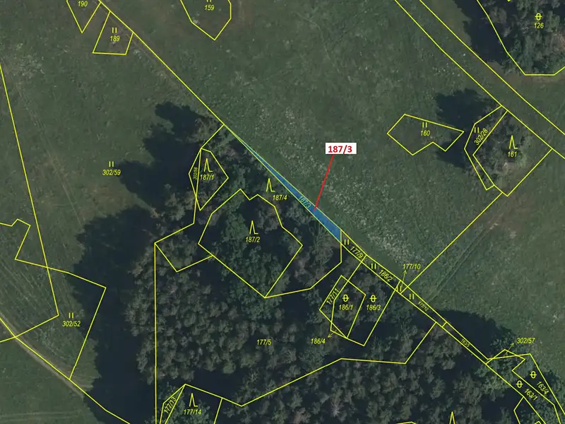 Dražba lesa 80 m², Volfířov – náhled fotky 2