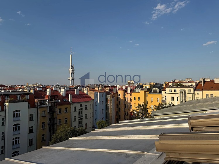 Pronájem bytu 3+kk, 157 m² (15 z 20)