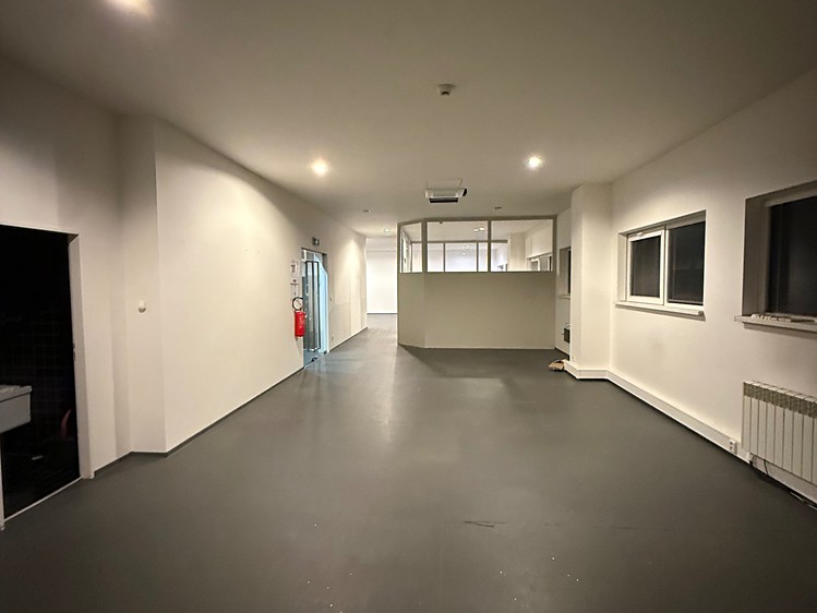 Pronájem komerčního prostoru, 250 m² (1 z 5)