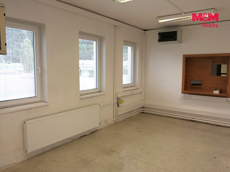 Комерційне приміщення в оренду, 200 м² (11 з 29)