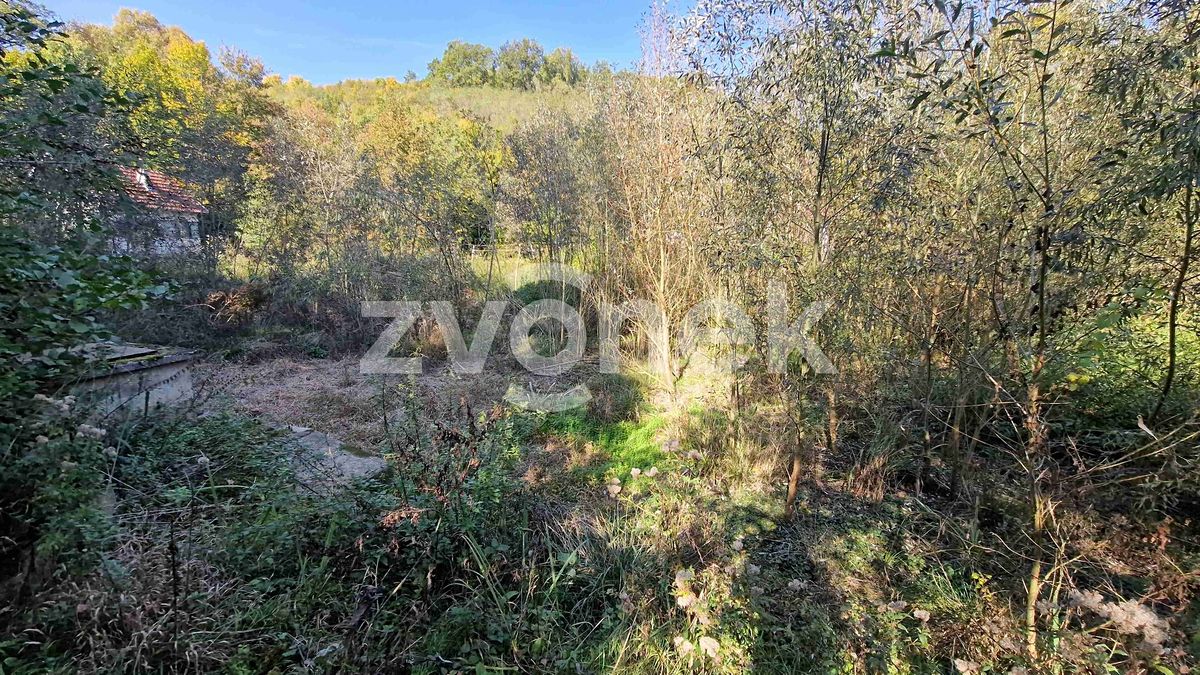 Prodej rybníku (vodní plochy) 2136 m² – fotografie 2