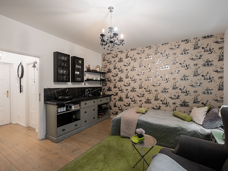 Wohnung atypical zur Miete, 24 m² (5 von 25)
