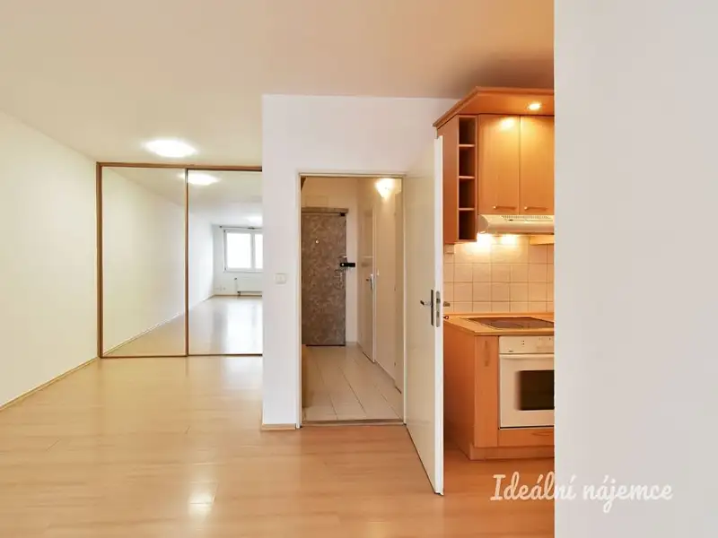 Pronájem bytu 1+kk 40 m², Praha – náhled fotky 2