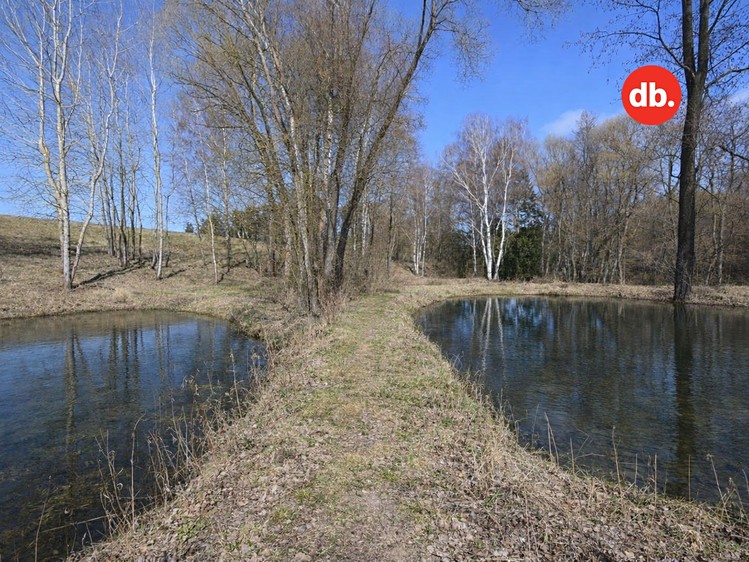 Prodej pozemku, 5 506 m² (6 z 19)
