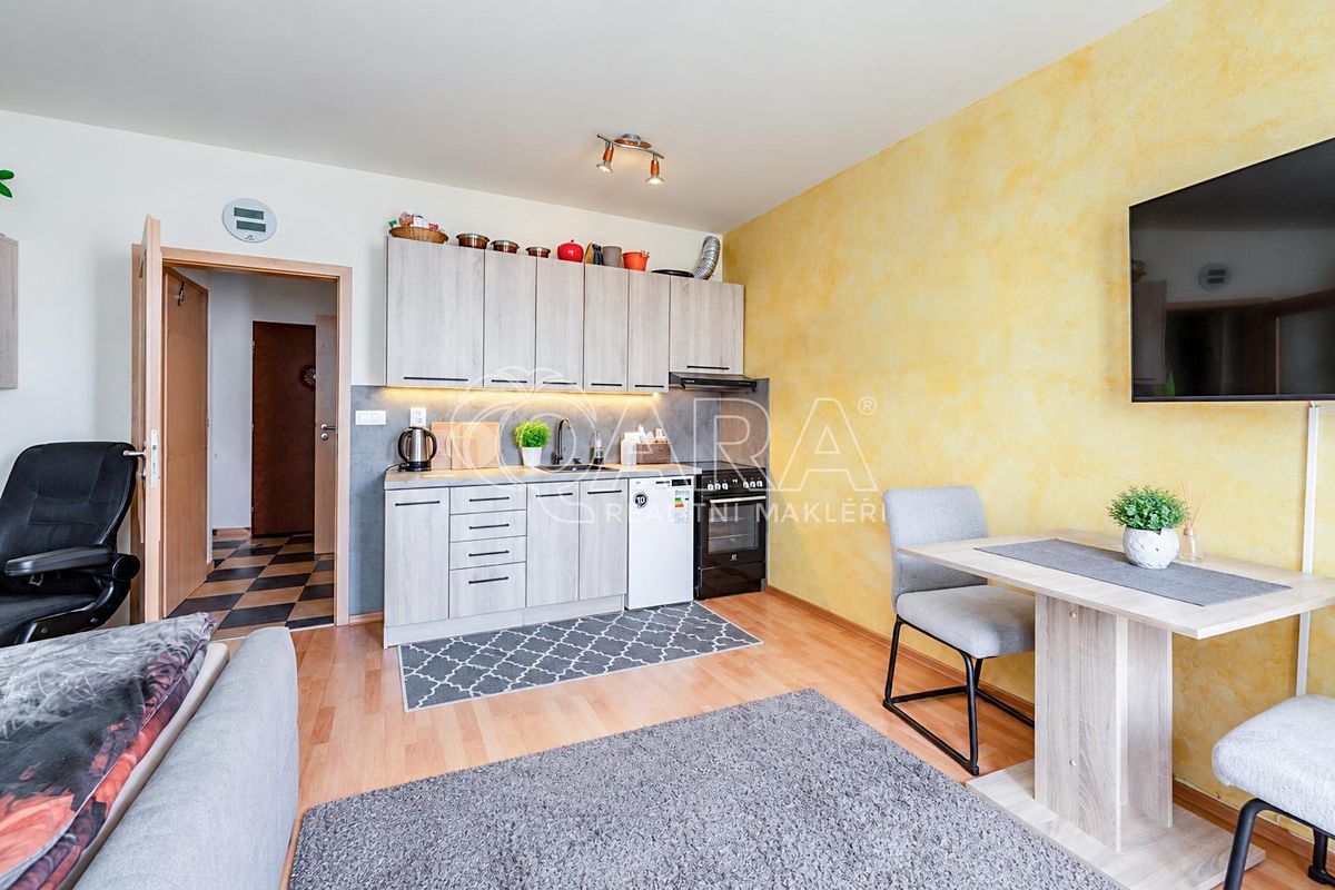 Pronájem bytu 1+kk 31 m²