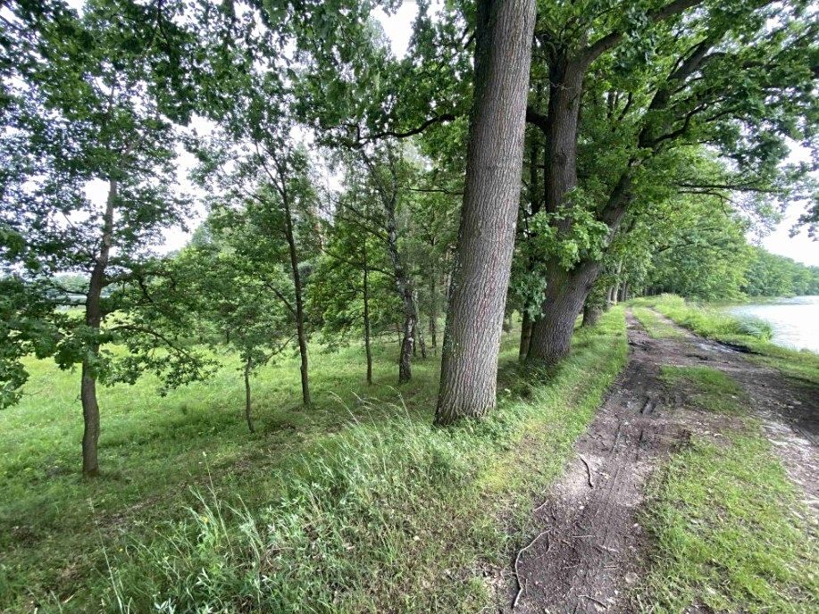 Dražba louky 1639 m², Čejetice – fotka 1 z 3