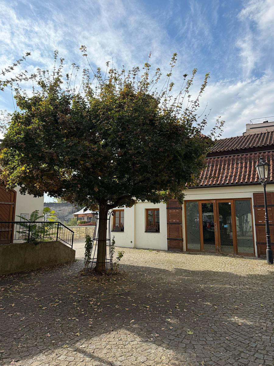 Pronájem komerční nemovitosti 230 m², Praha – fotka 1 z 3