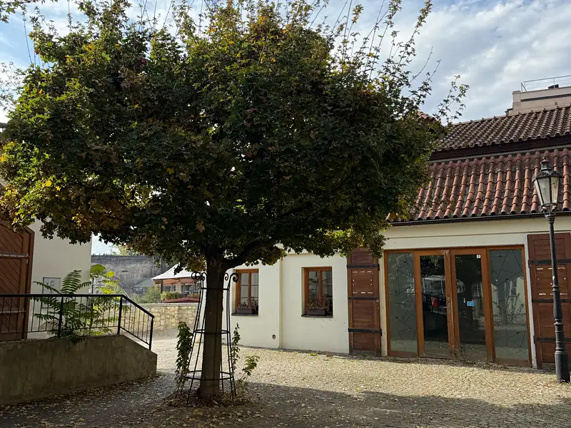 Pronájem komerční nemovitosti 230 m², Praha – náhled fotky 1