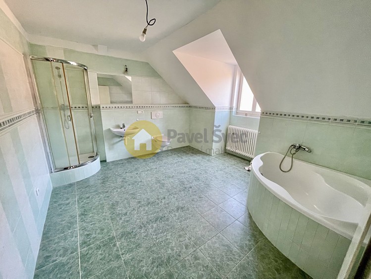 Wohnung 2+kk zur Miete, 145 m² (3 von 11)