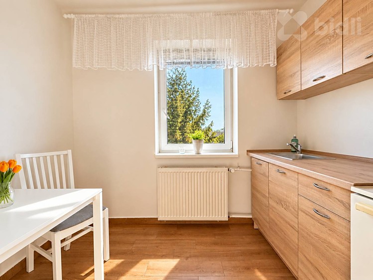 Квартира 1+1 в оренду, 47 м² (6 з 18)