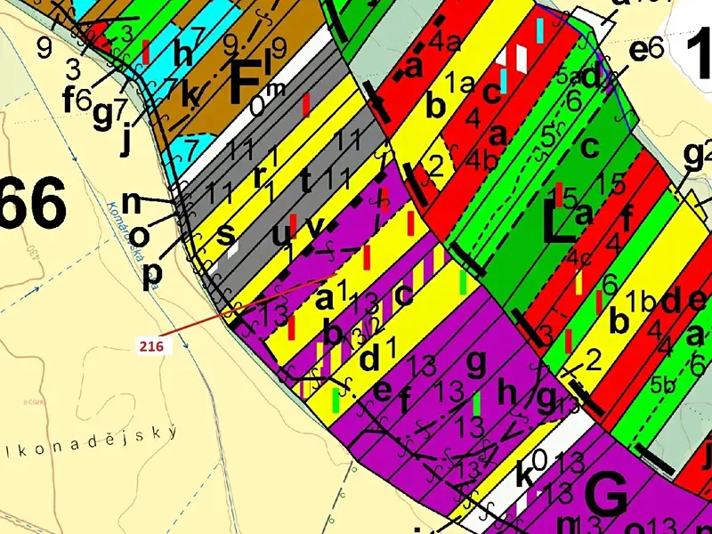 Dražba lesa 12481 m², Komárov – náhled fotky 3