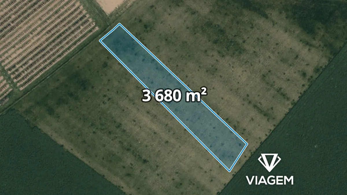 Prodej pole 3680 m²