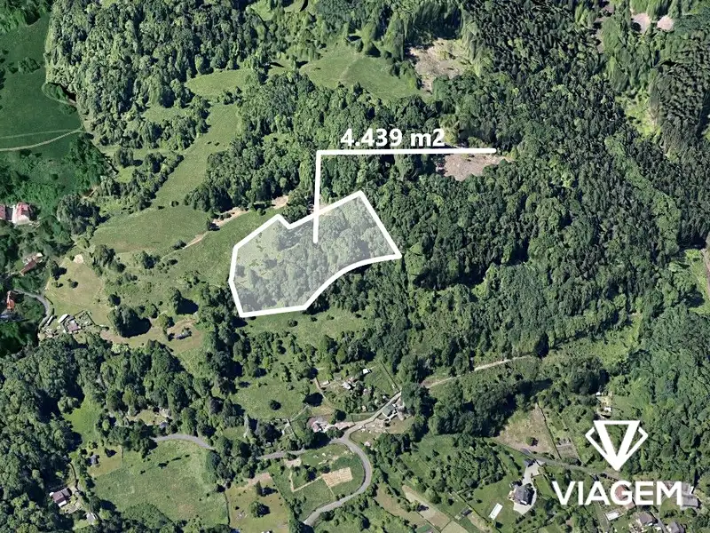 Prodej lesa 4439 m², Děčín – náhled fotky 3