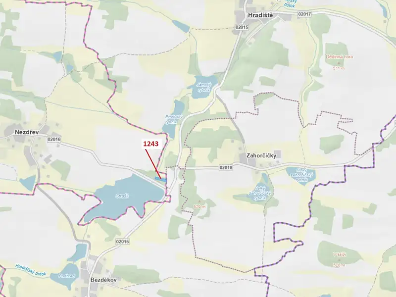 Dražba lesa 2662 m², Nezdřev – náhled fotky 1
