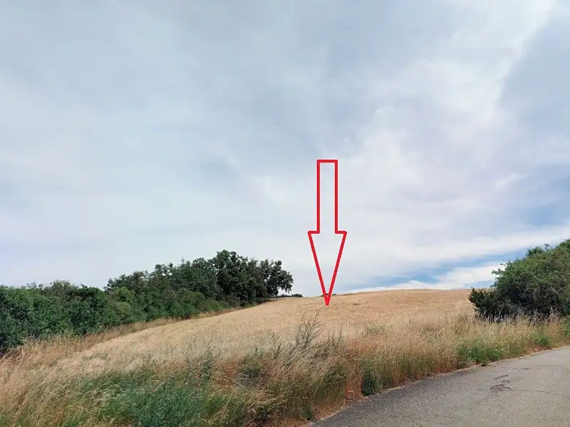 Prodej pole 15809 m², Ivančice – náhled fotky 2