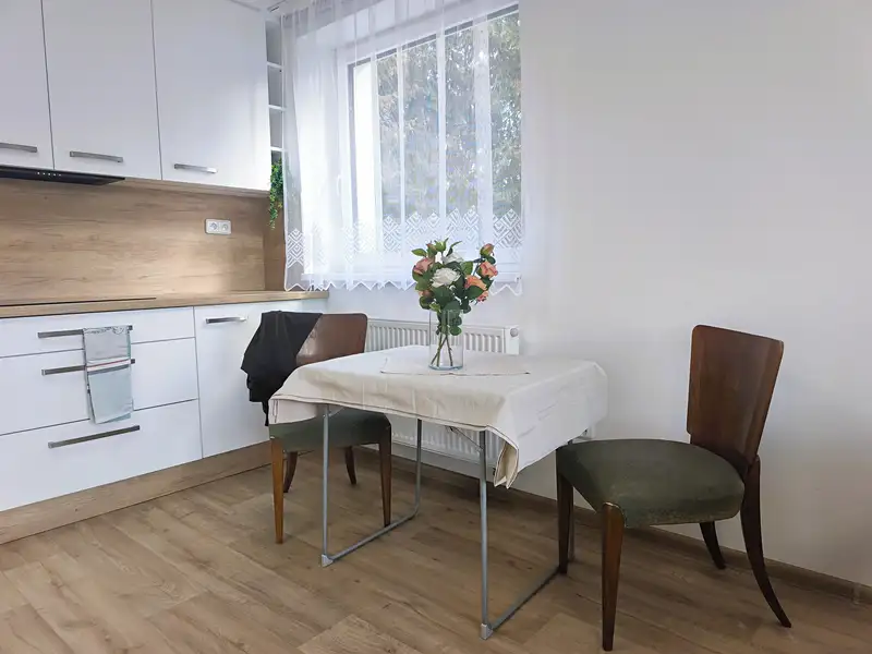 Pronájem rodinného domu 200 m², pozemek 1723 m², Vyškov – náhled fotky 2