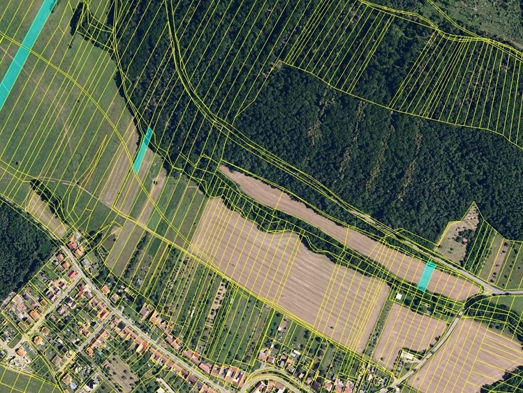 Ostatní